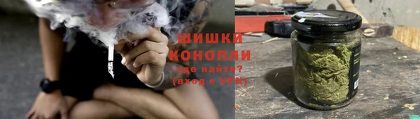 дурь Вяземский