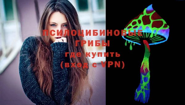 гашик Тобольск