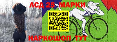 индика Бердск