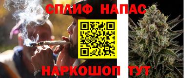 индика Бердск