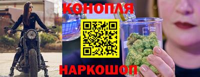 индика Бердск