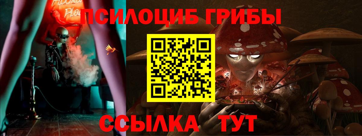 Снежинск  Псилоцибиновые грибы Cubensis  Вход с VPN 